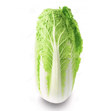 Cabbage Chinese
