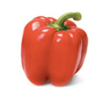 Pepper Red