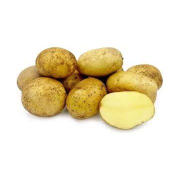 Potato Agria